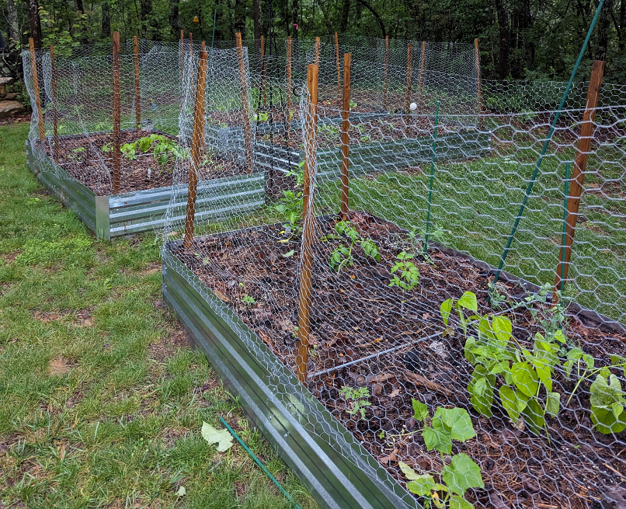 picture of a raised garden bed