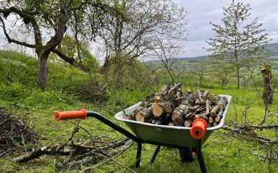 How to Fill a Raised Garden Bed for Cheap