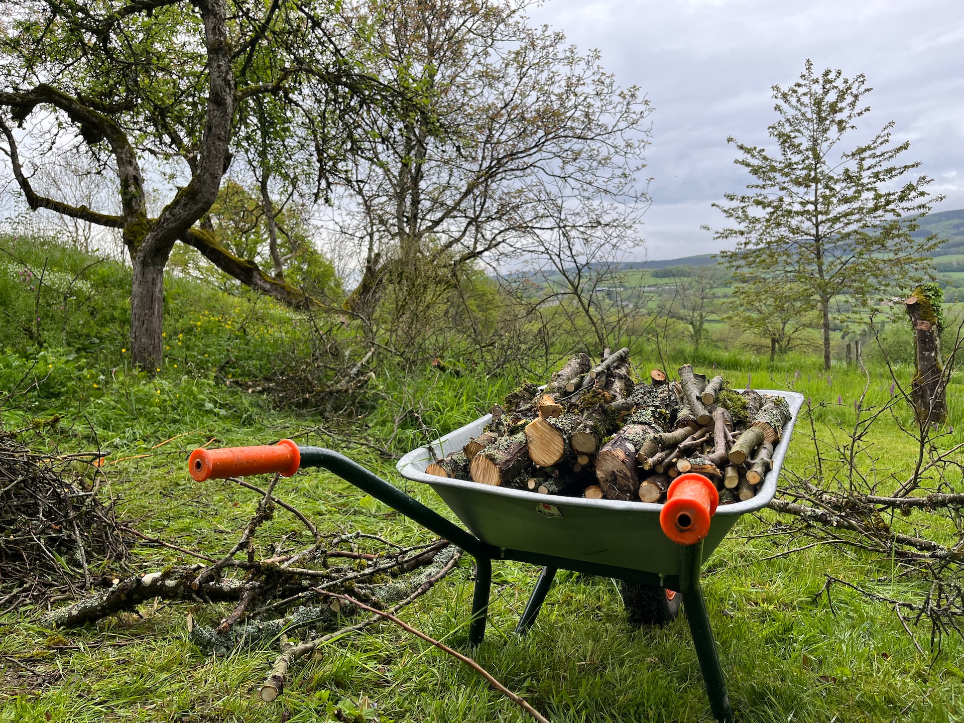 a wheelbarrow of logs