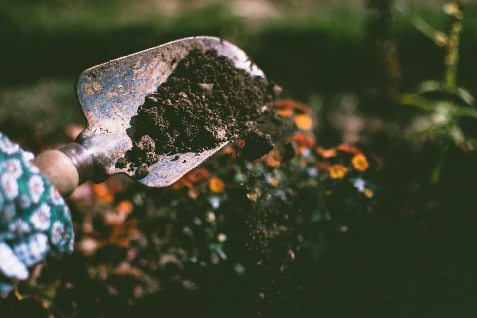 9 Soil Amendments to Improve Drainage in Your Raised Beds - Raised ...