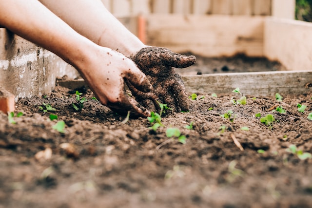 hands mixing soil 