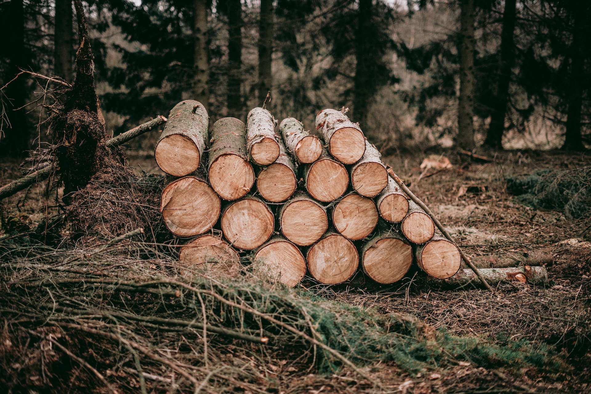 logs for a hugelkultur raised bed