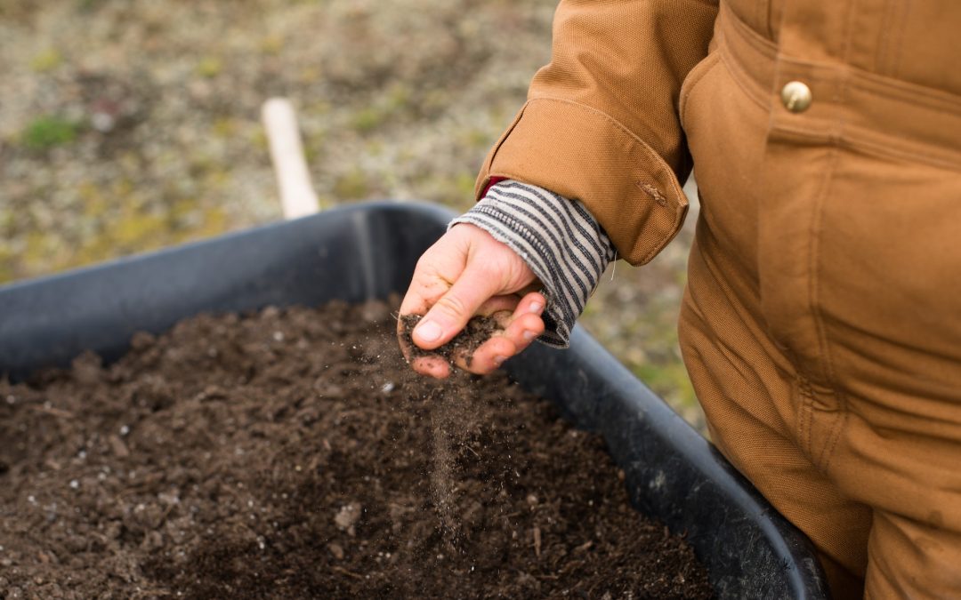 How Much Perlite To Add to Raised Beds AND Fixing Your Drainage