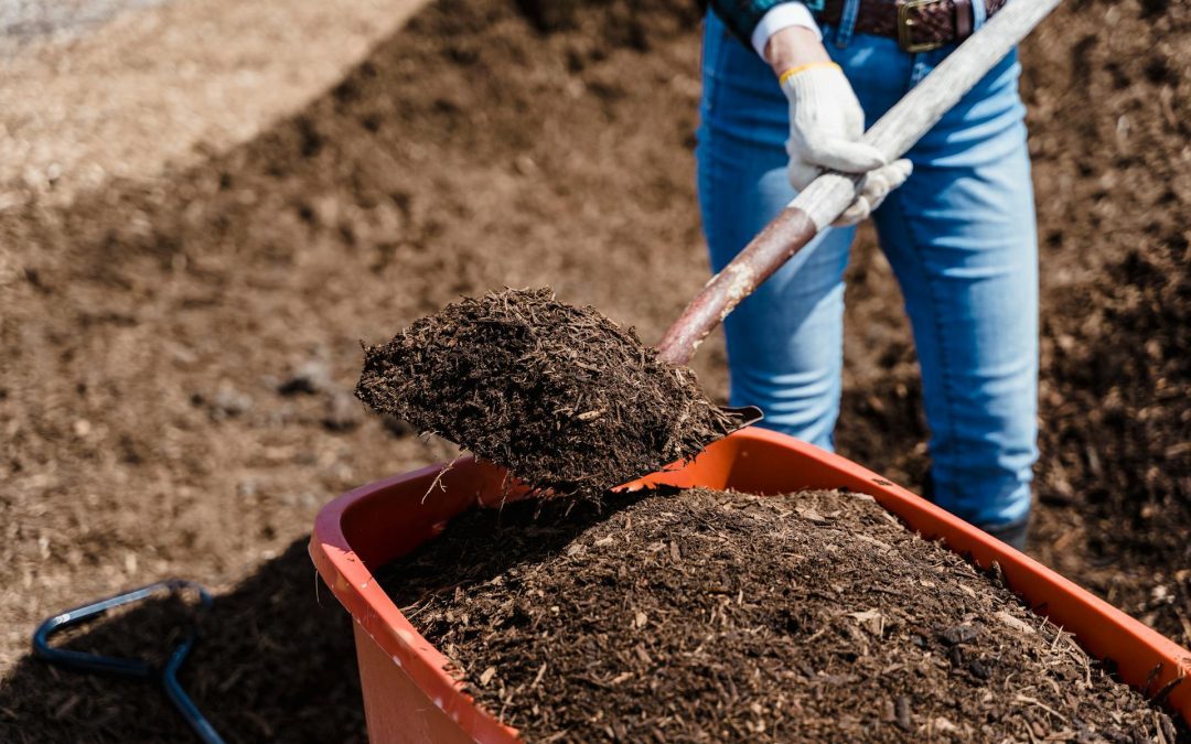 How To Start Composting For Beginners