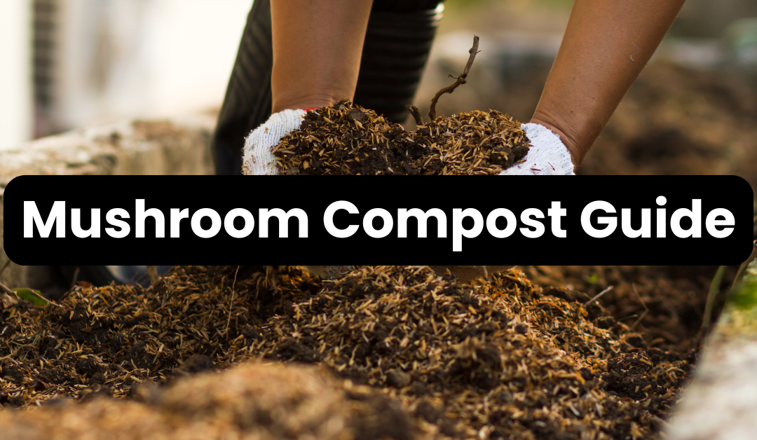 Mushroom Compost Guide: What it is, The Benefits and How Much to Add