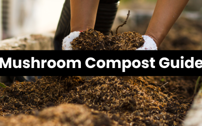 Mushroom Compost Guide: What it is, The Benefits and How Much to Add