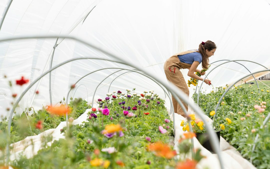 Raised Garden Bed Cover: Extending Your Growing Season