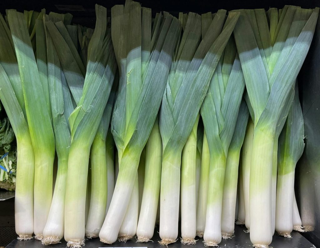 leeks plants