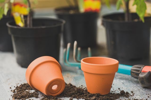 containers for indoor gardening
