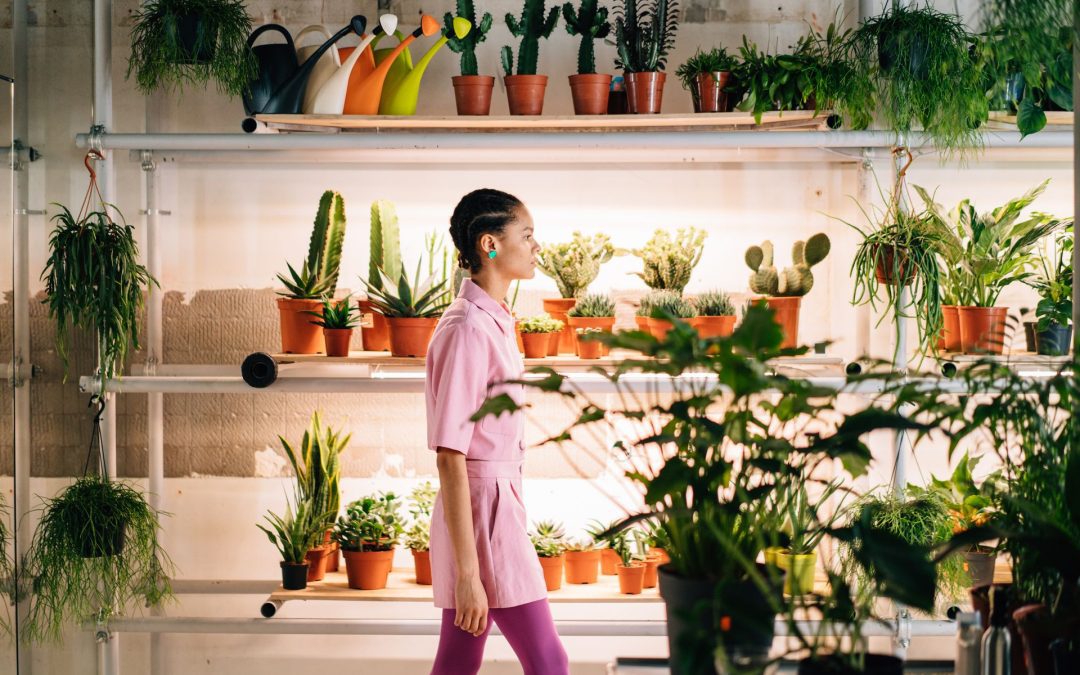 Indoor Plant Containers Guide for Beginners