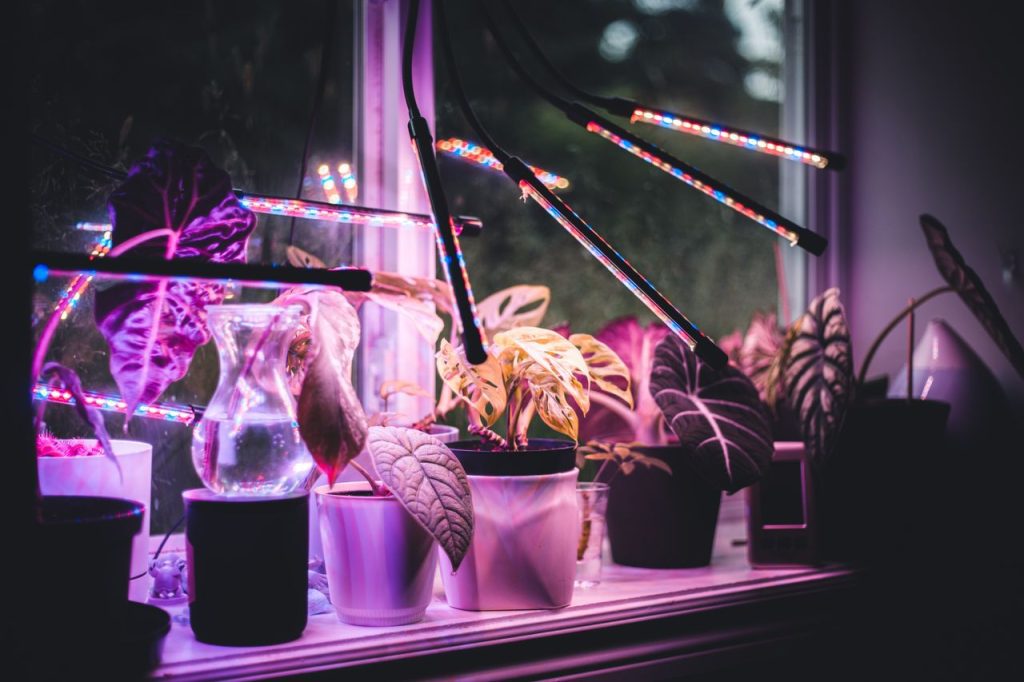 grow lights indoors
