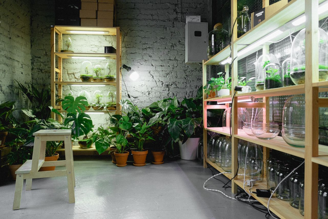 pexels-shvetsa-5830836 indoor grow light guide